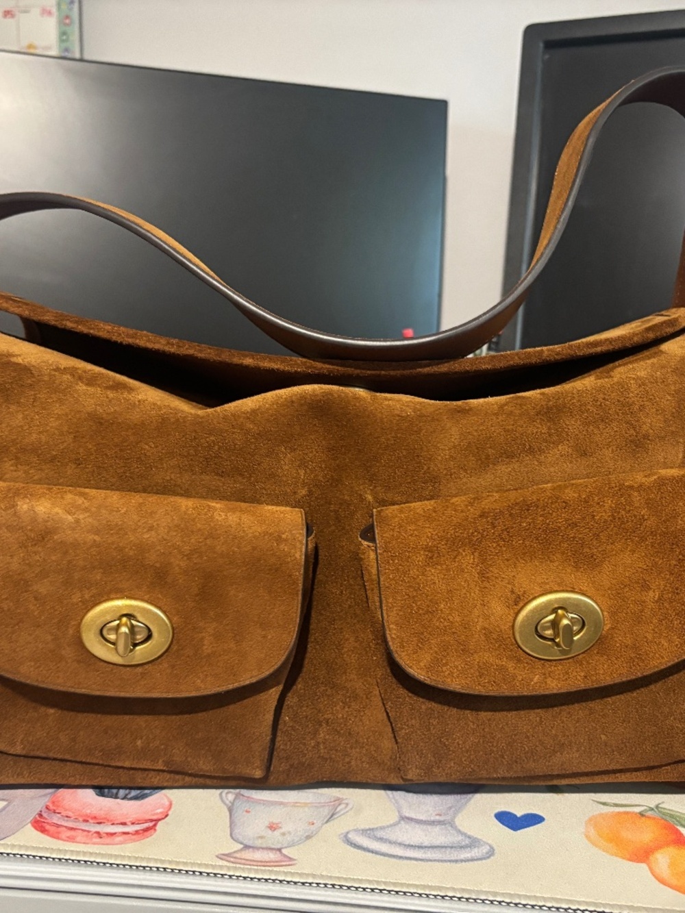 Coach haversack suede